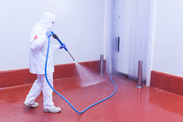 Best Paint Preparation  in Thayer, MO