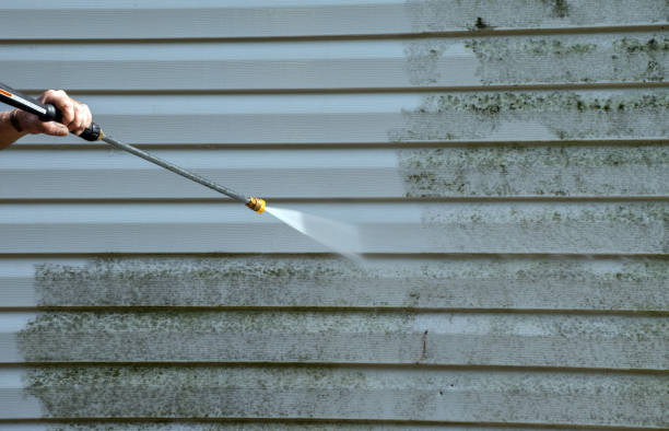 Best Driveway Pressure Washing  in Thayer, MO
